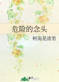 危险的念头